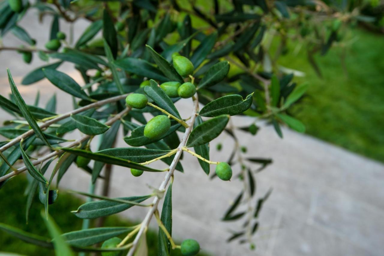 דירות Peraía Olive 301 מראה חיצוני תמונה